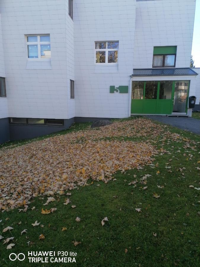 King Apartament 1 Mit Netflix Apartamento Sankt Englmar Exterior foto